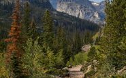 Glacier Creek Trail Hiking Taman Nasional Pegunungan Rocky