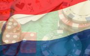 Dutch Gambling Regulator Likely to Issue 35 Online Gambling Licenses Following the Remote Gambling Act Implementation