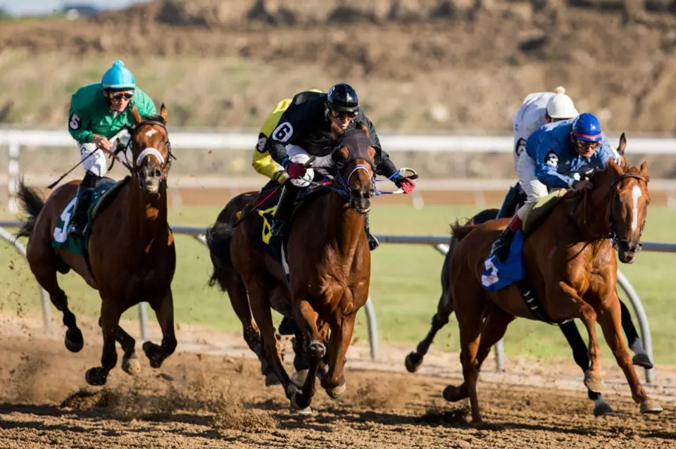 York and Bellevue Apply to Nebraska Racing and Gaming Commission for the Establishment of Two New Racetracks