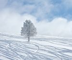 Gambar salju halus di Vail, Colorado