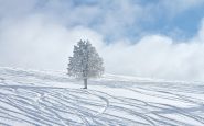 Gambar salju halus di Vail, Colorado